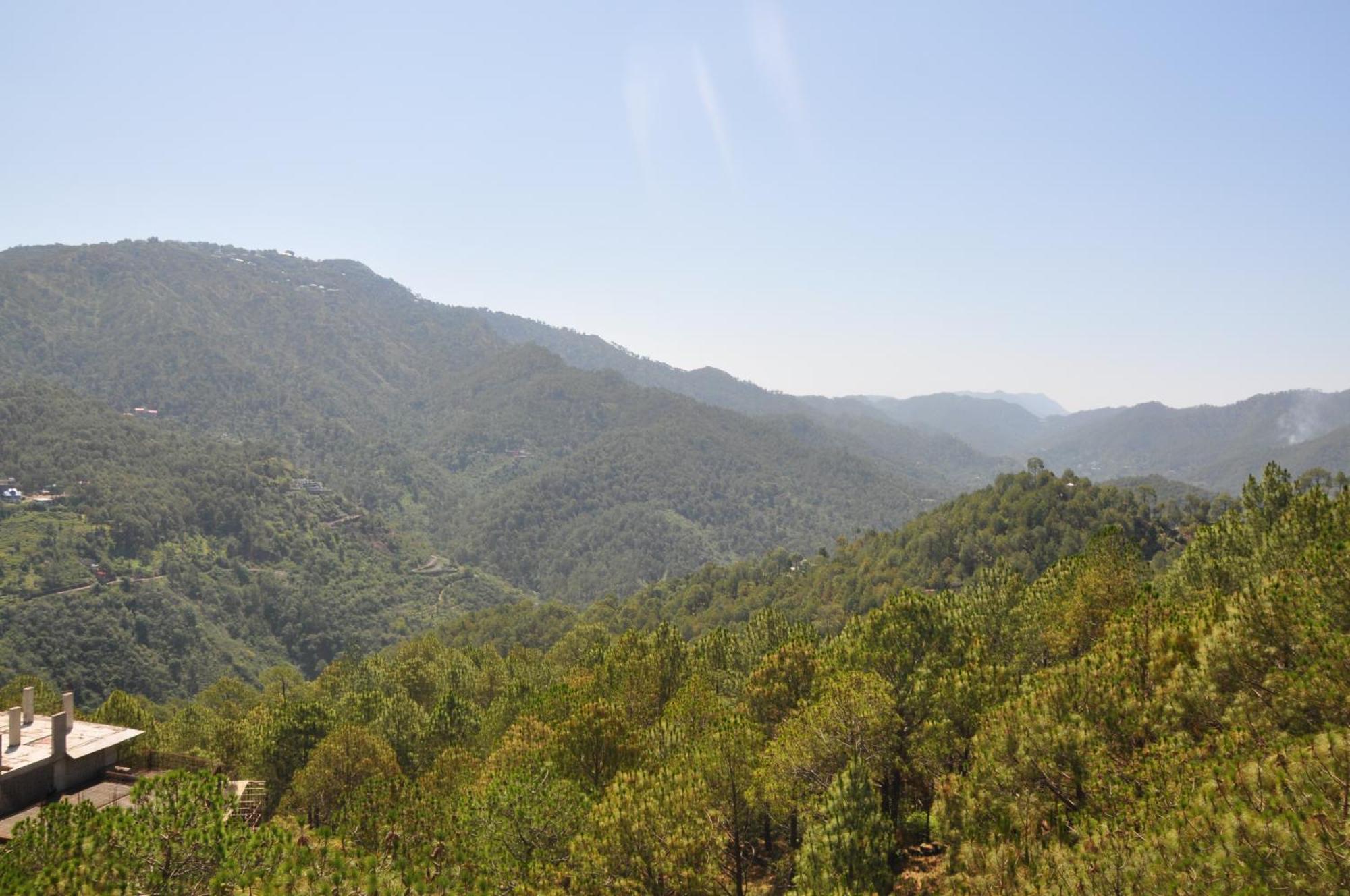 Pine Maderas By Embrace Apartment Kasauli Exterior photo